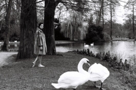 CAROLINE VINCENT